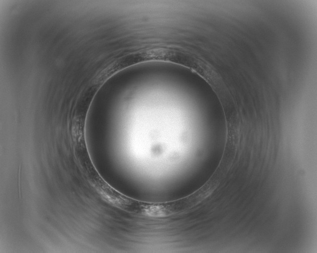 X0000080150091200612081333