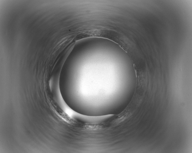 X0000080150092200612081333