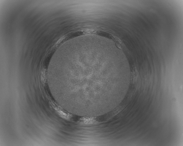 X0000080150093200612081333