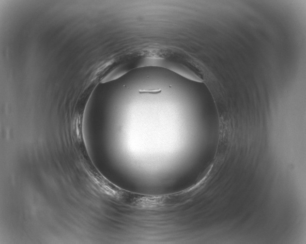 X0000080150094200612081333