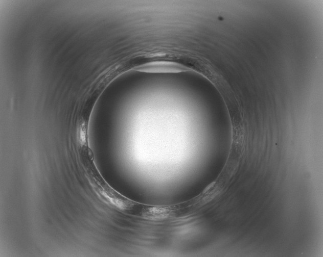 X0000080150095200612081333