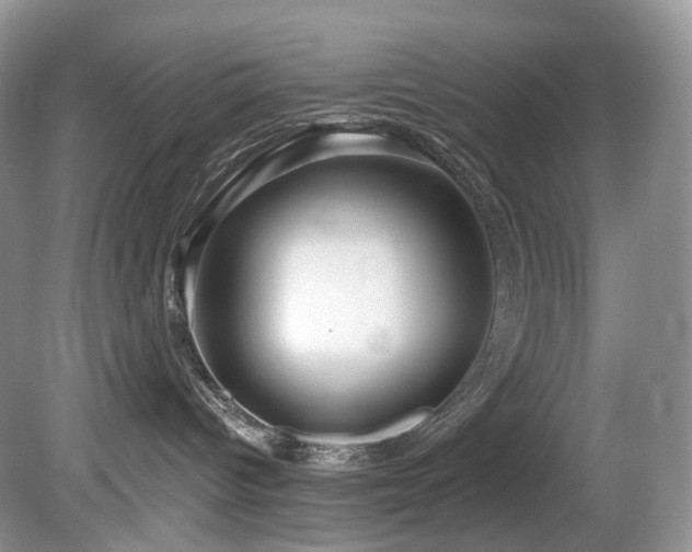 X0000080150096200612081333
