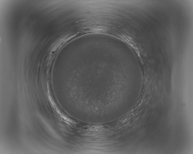 X0000080150097200612081332