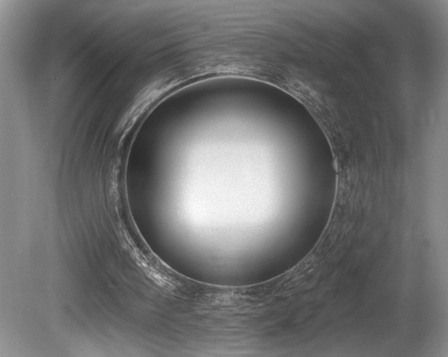X0000080150098200612081332
