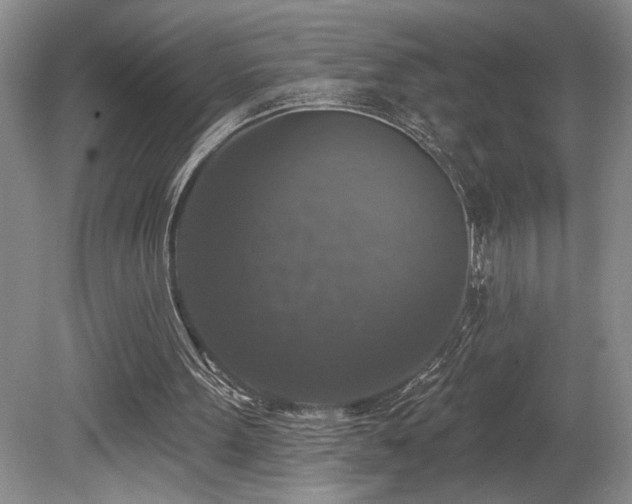 X0000080150099200612081332