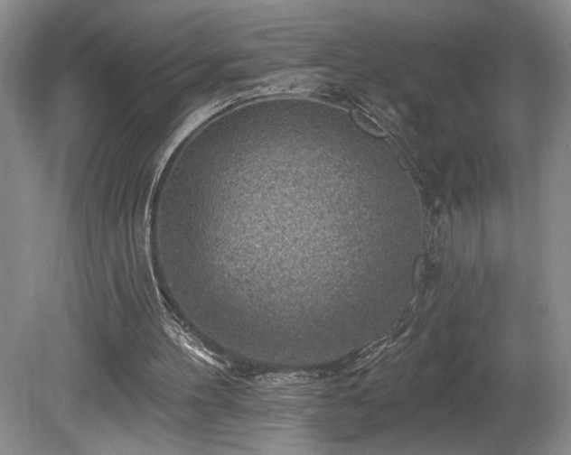 X0000080150100200612081332