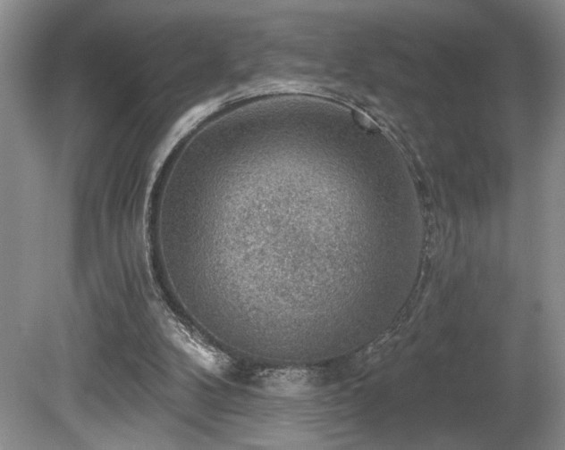 X0000080150104200612081332