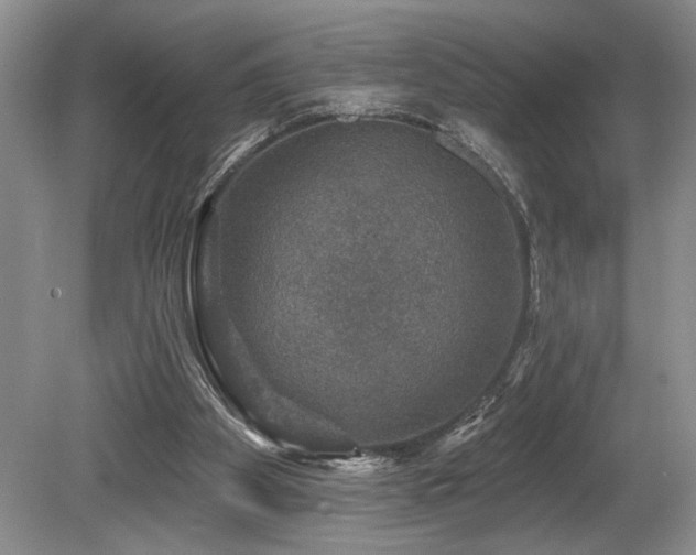 X0000080150105200612081332