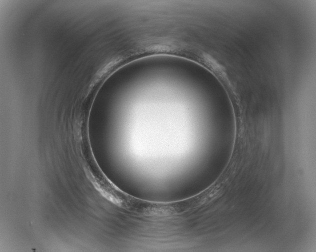 X0000080150106200612081332