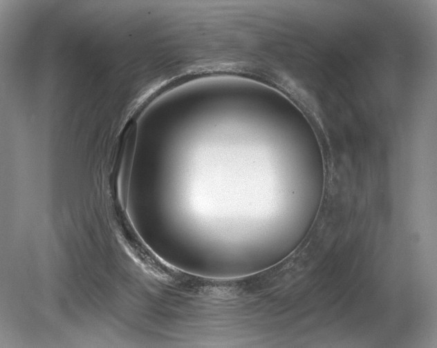 X0000080150107200612081332