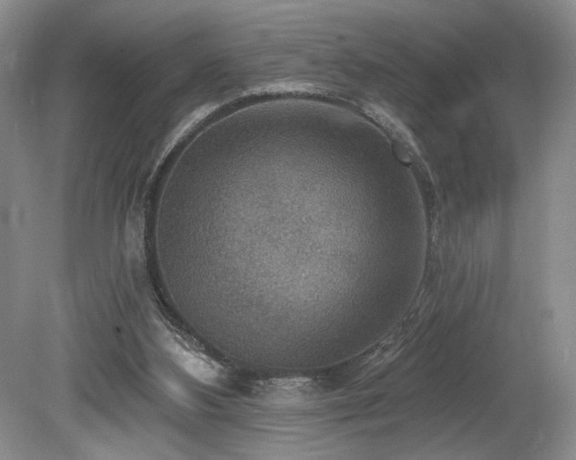 X0000080150108200612081332