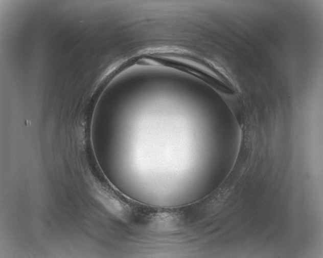 X0000080150111200612081332
