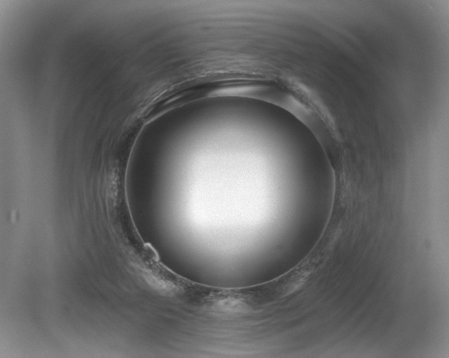 X0000080150113200612081332