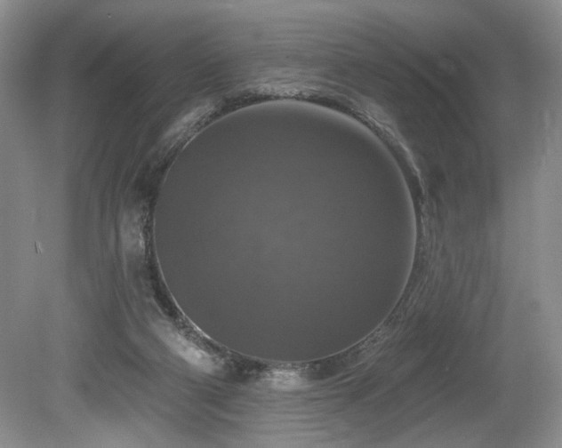 X0000080150114200612081332