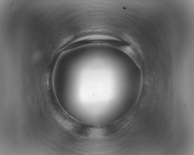 X0000080150115200612081332