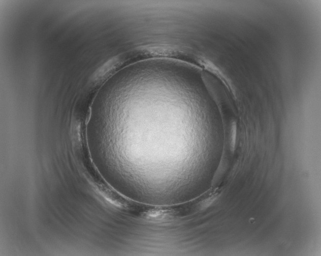 X0000080150117200612081332