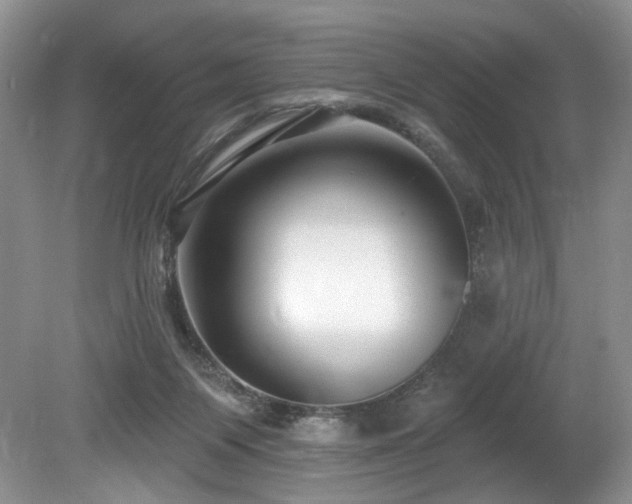 X0000080150119200612081332