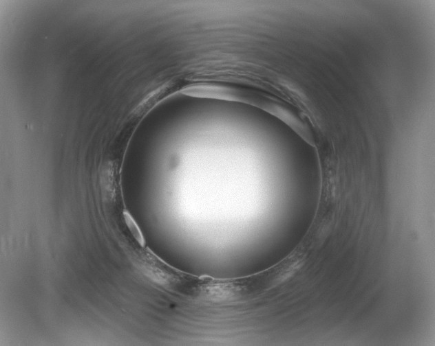 X0000080150121200612081332