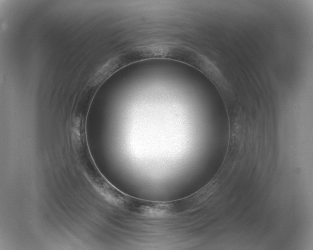 X0000080150122200612081332