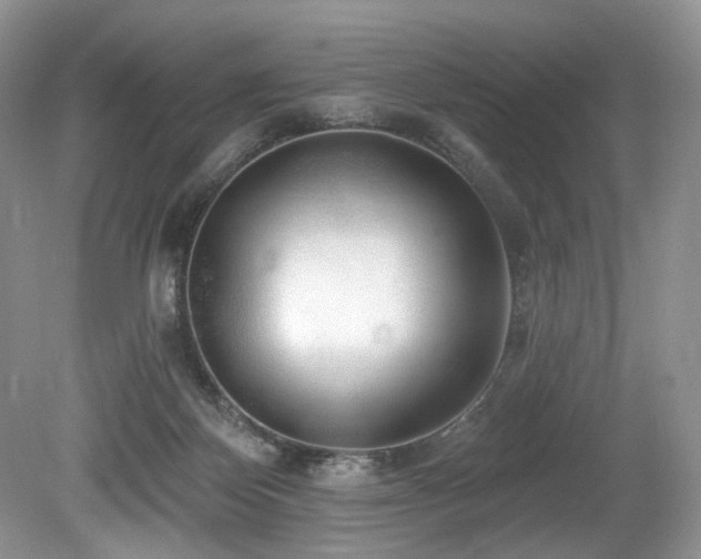X0000080150124200612081332
