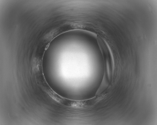 X0000080150125200612081332