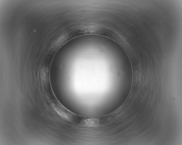 X0000080150126200612081332