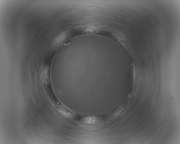 X0000080150127200612081332