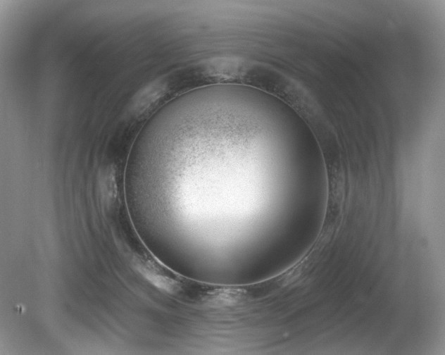 X0000080150128200612081332