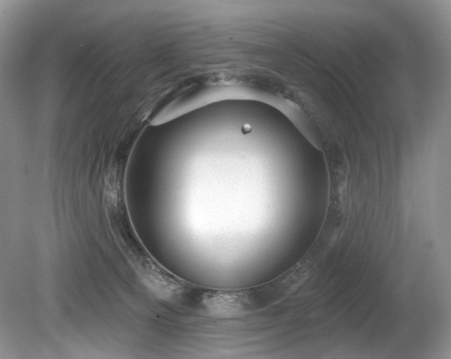 X0000080150129200612081332