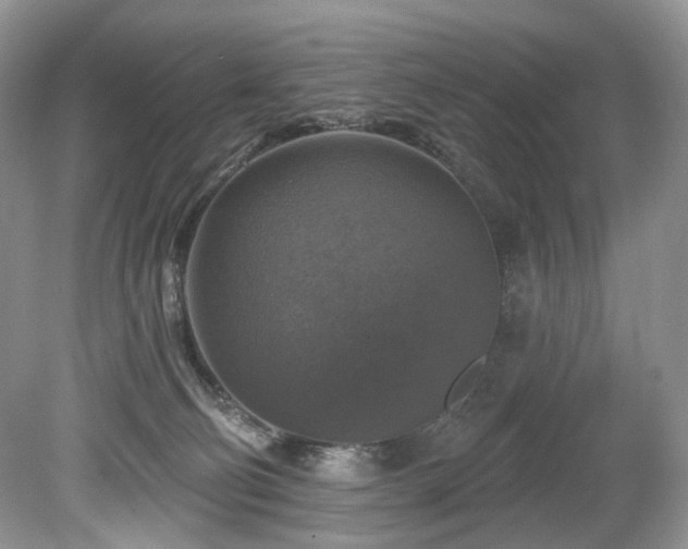 X0000080150130200612081331