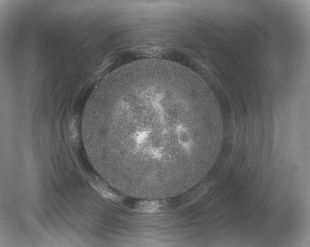 X0000080150131200612081331