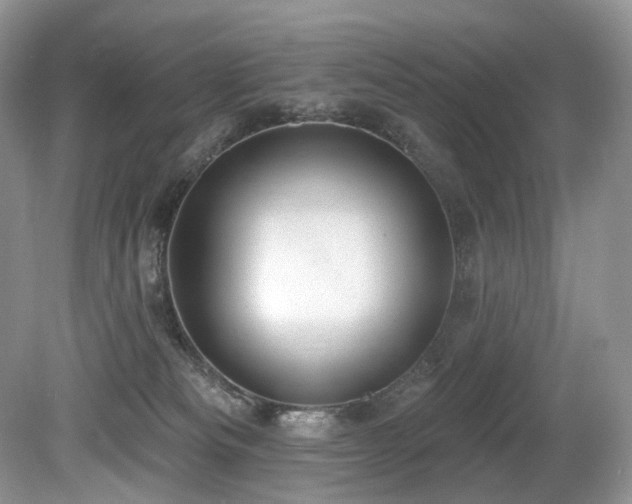 X0000080150133200612081331