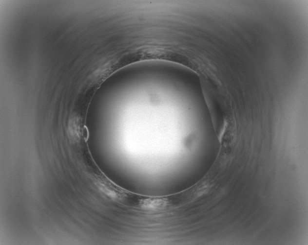 X0000080150135200612081331