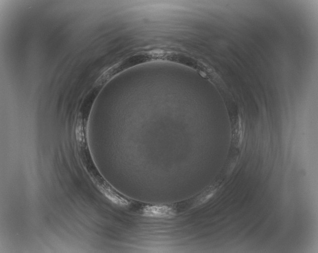 X0000080150137200612081331