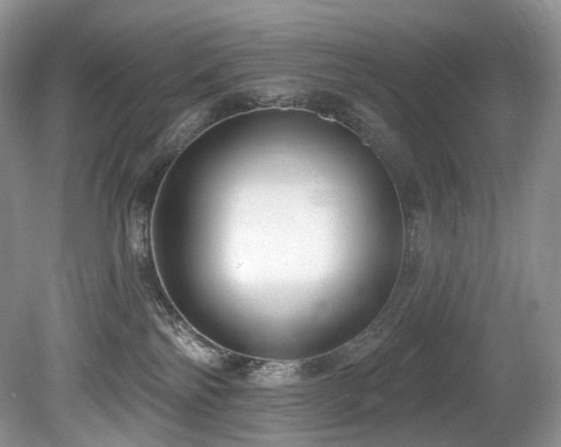 X0000080150138200612081331