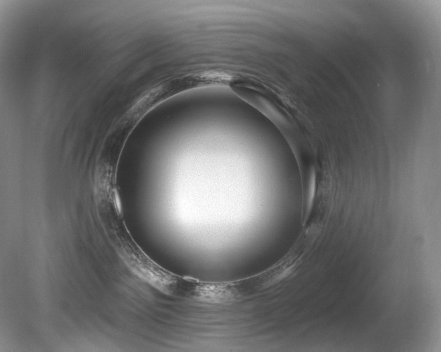X0000080150141200612081331