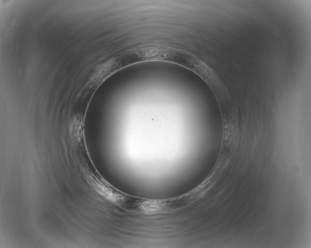 X0000080150142200612081331