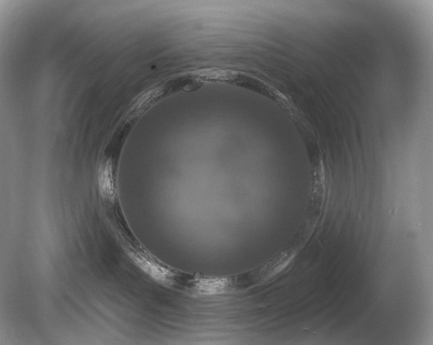X0000080150143200612081331