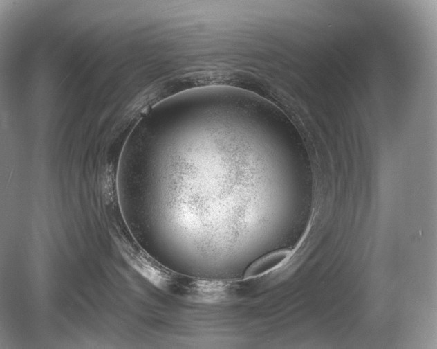 X0000080150144200612081331