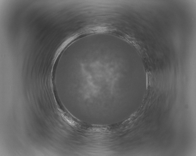 X0000080150147200612081330