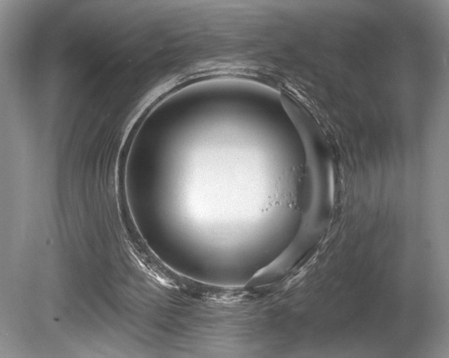 X0000080150148200612081330