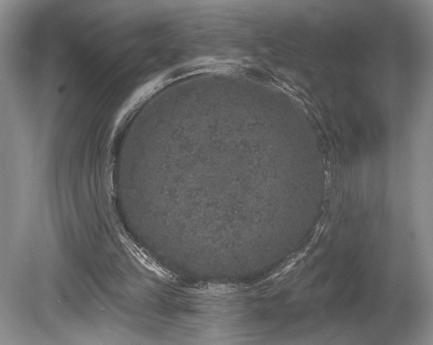 X0000080150149200612081331