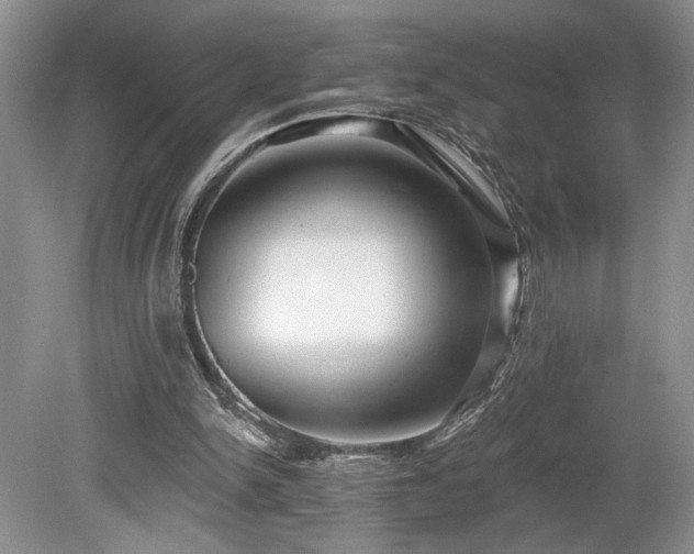 X0000080150150200612081331
