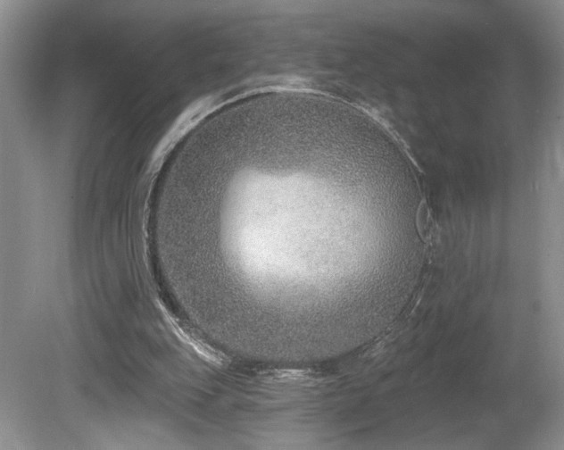 X0000080150151200612081331