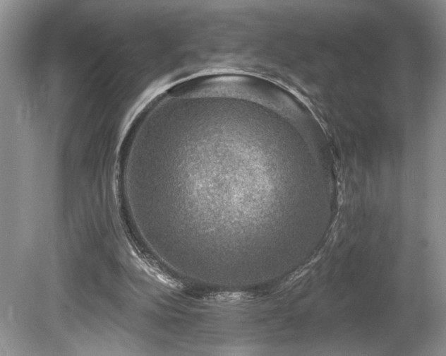 X0000080150152200612081331