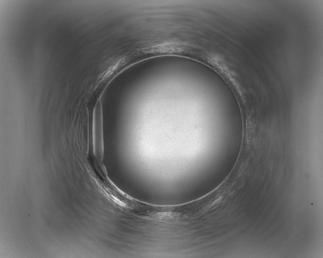 X0000080150153200612081331