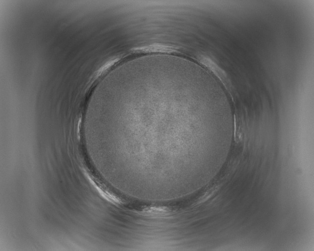 X0000080150157200612081331