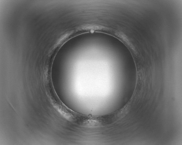 X0000080150159200612081331