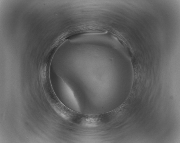 X0000080150163200612081331