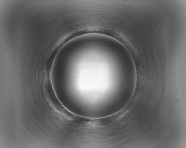 X0000080150164200612081331